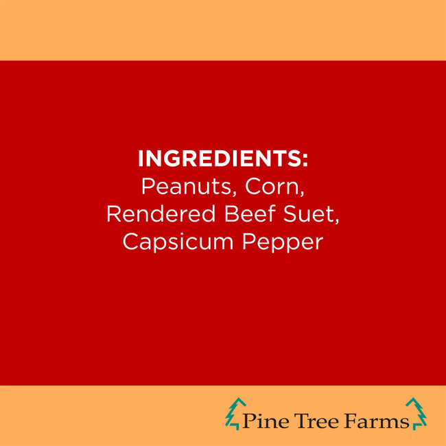 Never Melt Hot Pepper Suet Cake, 12 Pack