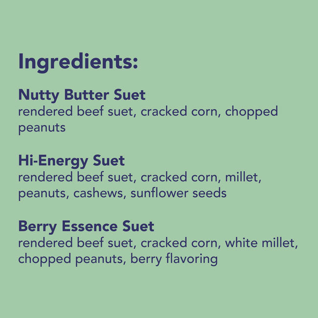 Variety 12 Pack of Suet Cakes, Nut & Berry