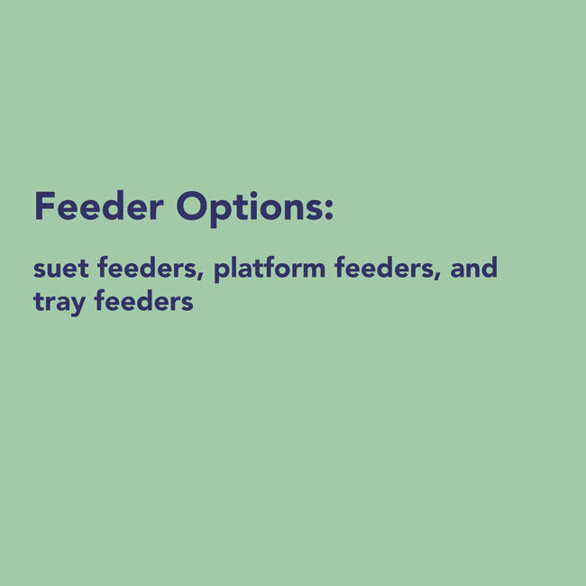 Variety 12 Pack of Suet Cakes, Nut & Berry