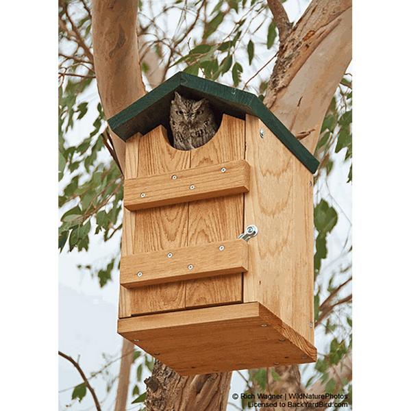 Songbird Essentials Screech Owl House