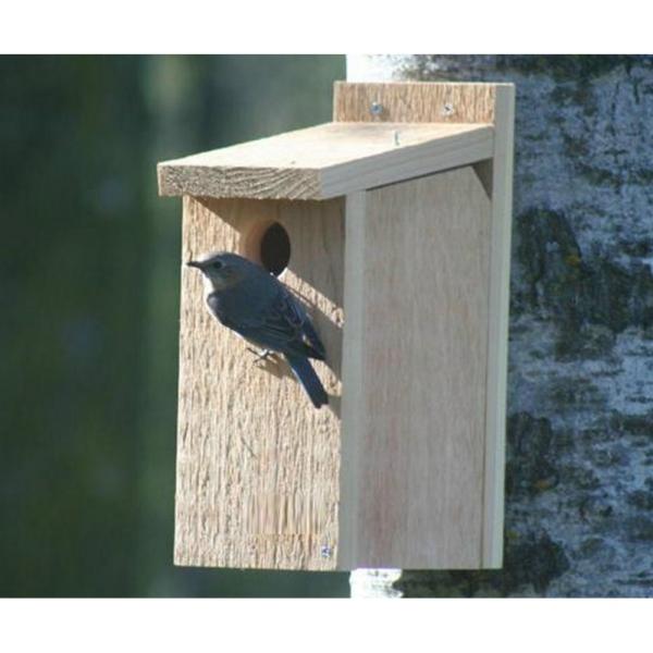 bluebird nesting box from songbird essentials. redwood cedar
