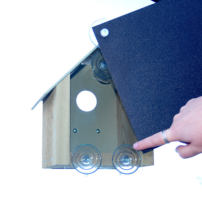 Songbird Essentials Window Bird House