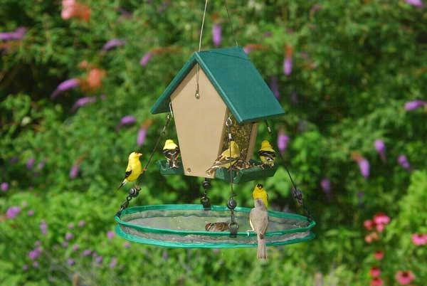 The Seed Hoop - Seed Catcher and Platform Bird Feeder