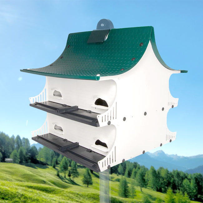 S&K Great Eight Purple Martin House, 8 Room
