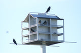 Trendsetter Purple Martin House 12 Room