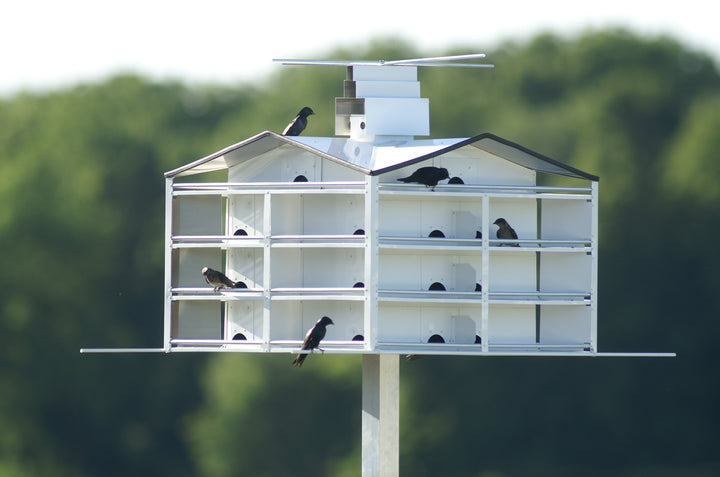 Trendsetter 28 Martin House System