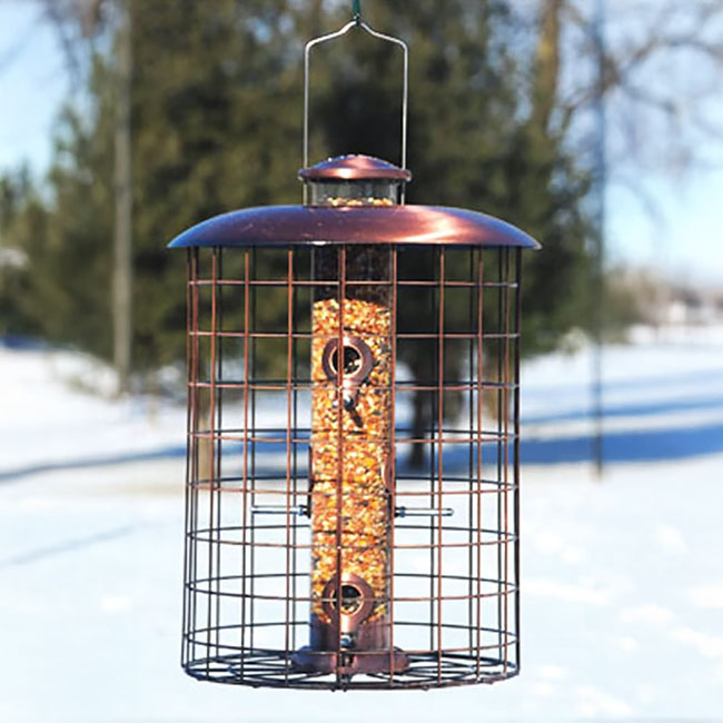 Woodlink Coppertop Caged Bird Feeder