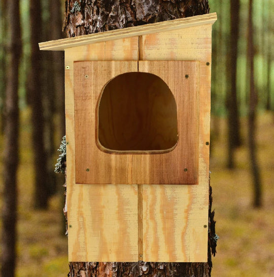 Barred Owl Houses