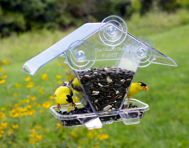 Aspects Window Cafe Transparent Window Feeder