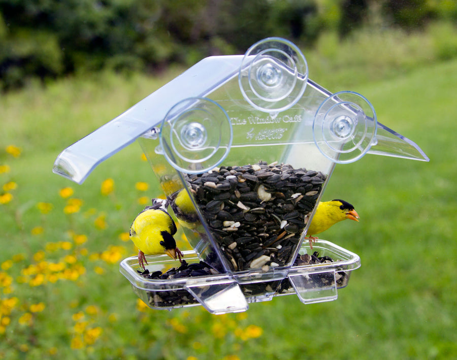 Wild Bird Store Online | Backyard Birding Supplies Shop | Birdwatching
