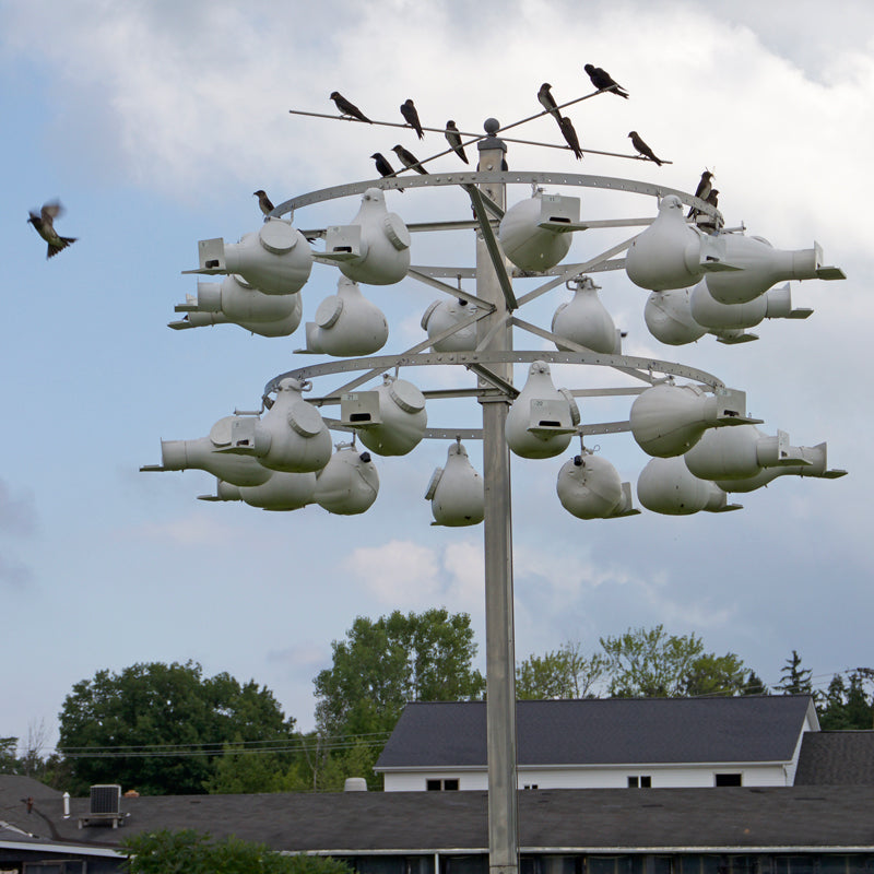 Fly Bird Rack Ultimate 24 Gourd Rack Super Combo Kit – Wild Bird Store Online