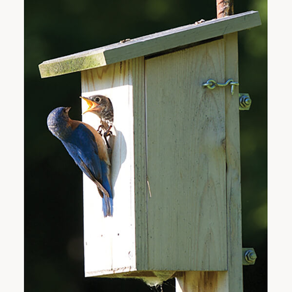 Cedar Bluebird House