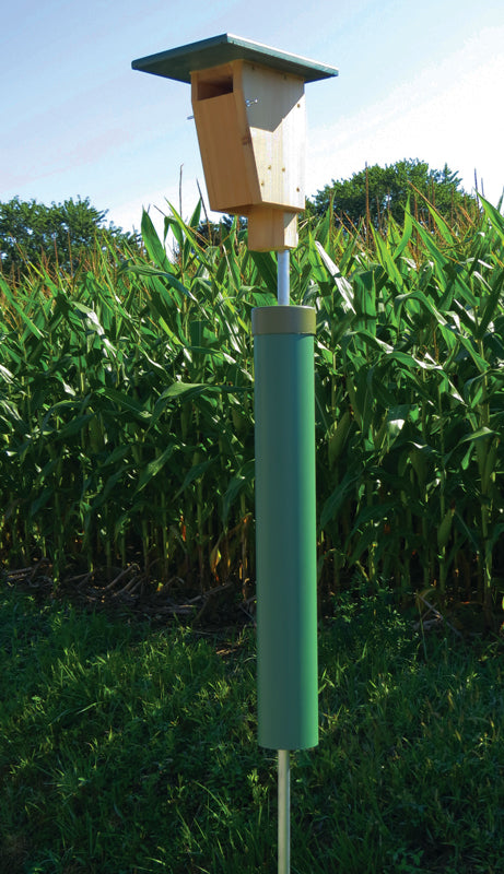 Birdhouse with pole and predator guard in a field with corn