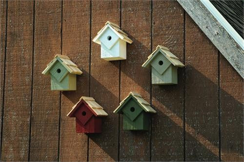 Heartwood Summer Home Bird House, 5pk – Wild Bird Store Online