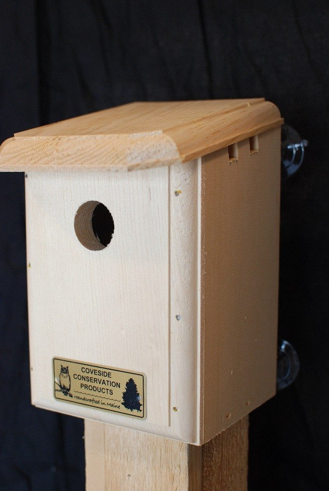 Coveside Window Nesting Box