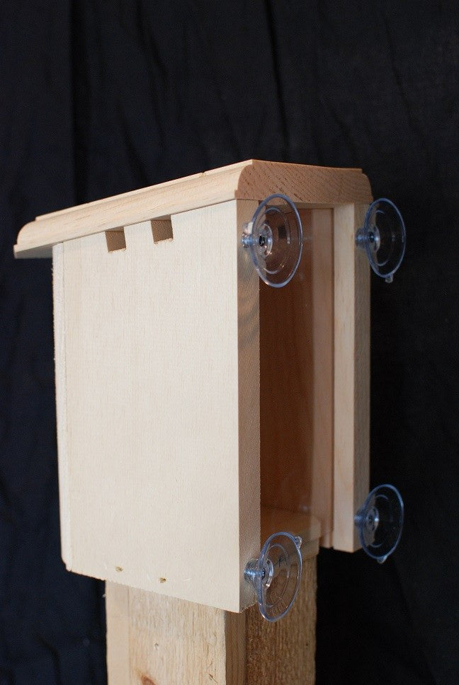 Coveside Window Nesting Box
