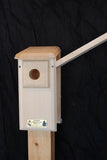 Coveside Eastern Bluebird House Kit
