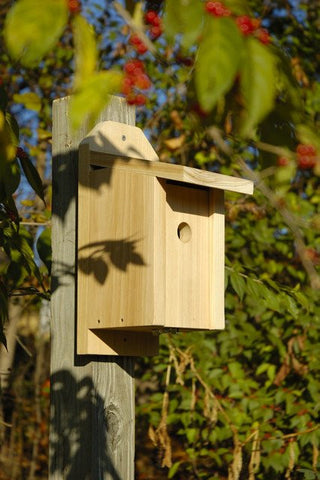 Heartwood 133A Chickadee Joy Box