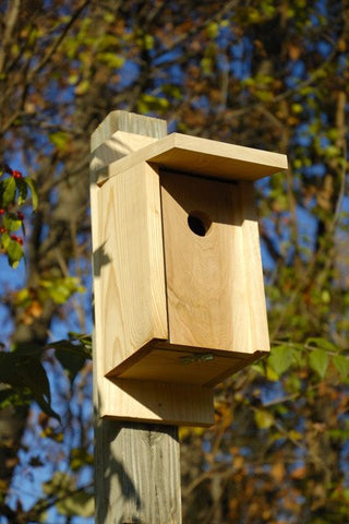 Heartwood 135A Eastern Bluebird Joy Box