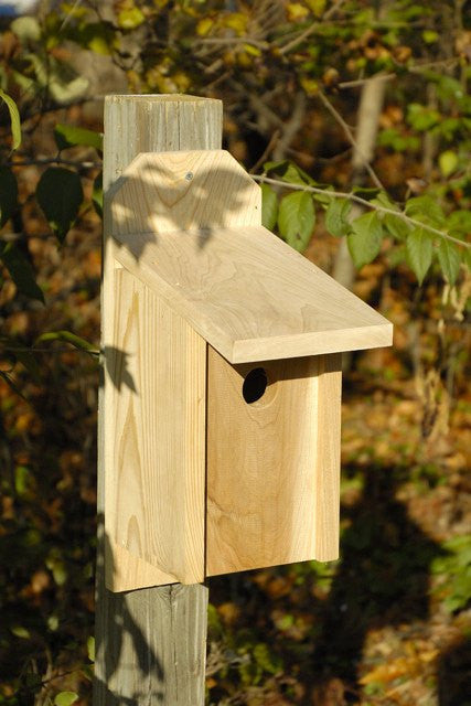 Wooden Bird Houses