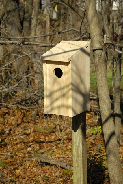 Heartwood 138A Screech Owl Box