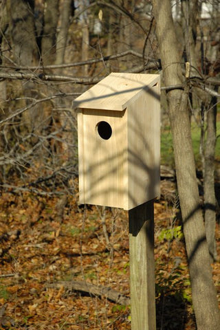 Heartwood 138A Screech Owl Box