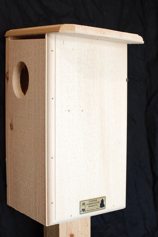 Squirrel Feeders and Houses