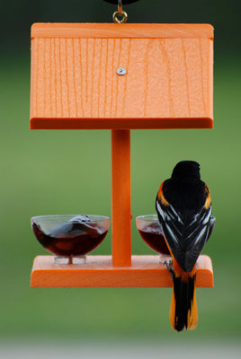 Woodlink Going Green™ Oriole Feeder with Fruit Dishes