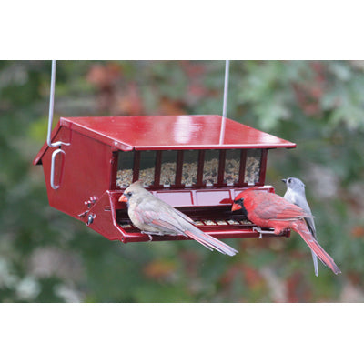 Reflective Red Birds Delight Squirrel Resistant Feeder