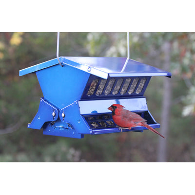 absolute II squirrel resistant feeder