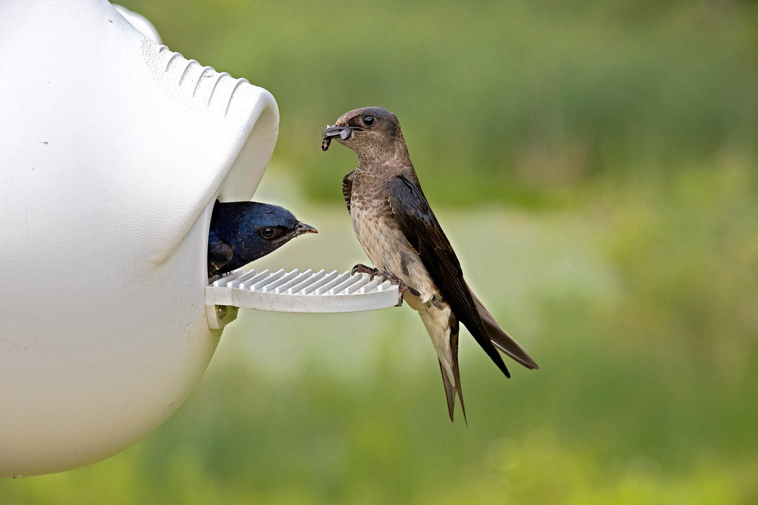 Heavy-Duty Bolt-on Porches for Crescent SuperGourds