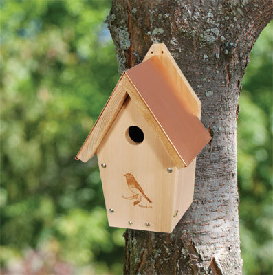 Woodlink Coppertop Bluebird House