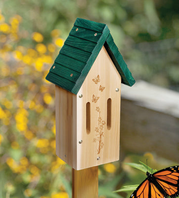 Does Paint Waterproof Wood? - A Butterfly House