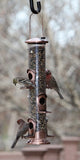 Woodlink Coppertop 6 Port Bird Feeder - Sunflower