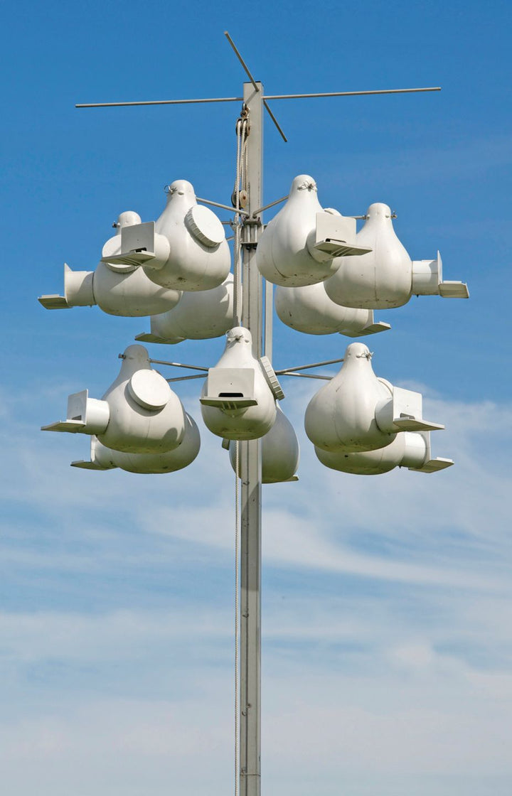 Troyer Deluxe Gourd Rack Combo System w/ 12 Gourds, Pole Guard and Tunnel Trap