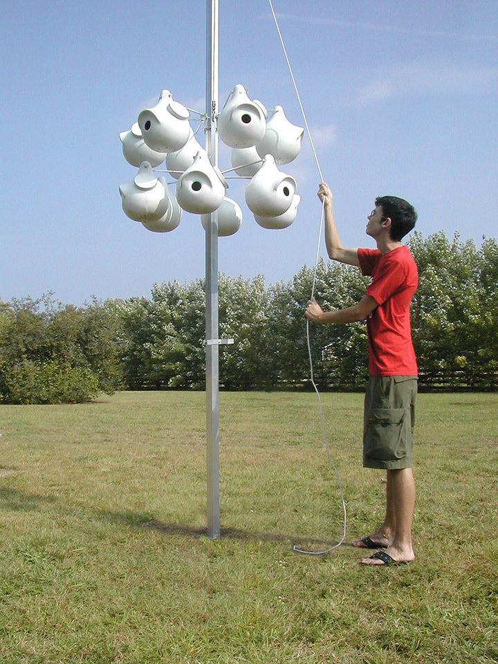 Purple Martin Deluxe 12 Rack System without Gourds