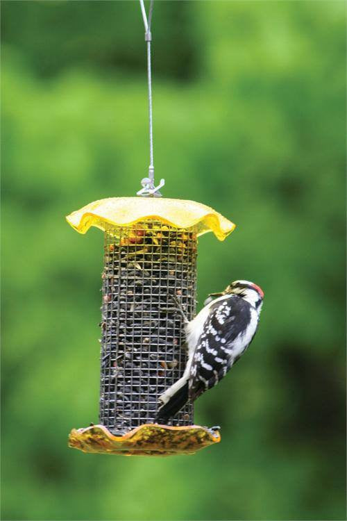 Birds Choice #FF106 1 Quart Forever Feeders