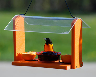 Woodlink Going Green Recycled Oriole Feeder