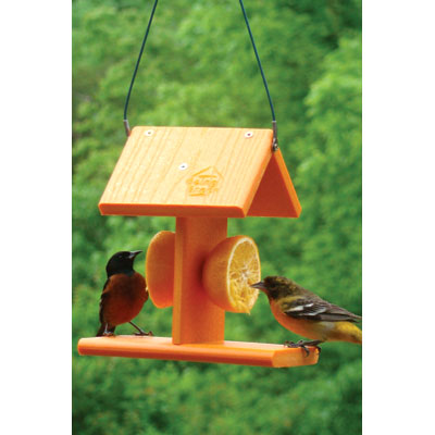 Woodlink Going Green Recycled Oriole Feeder Mini