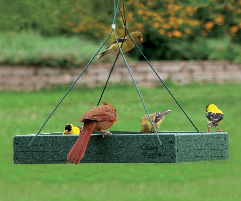 Woodlink Going Green Platform Bird Feeder