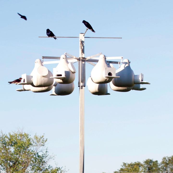 A purple martin rack system with eight gourds attached to a square aluminum pole with a pulley system