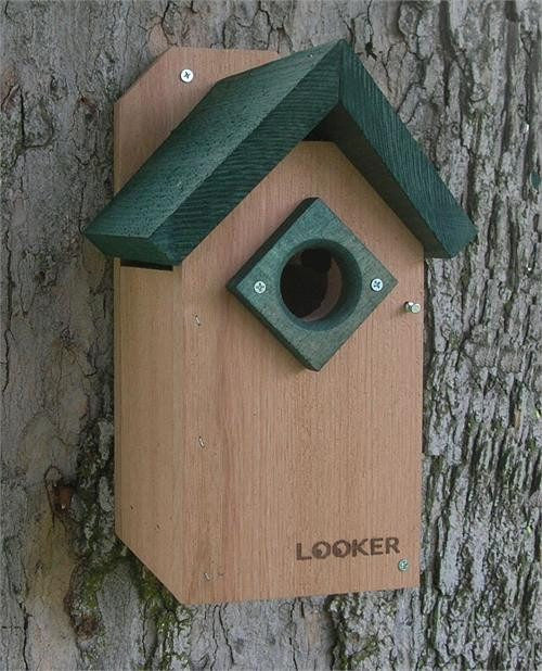 Looker Green Roof Blue Bird House - www.wildbirdstoreonline.com