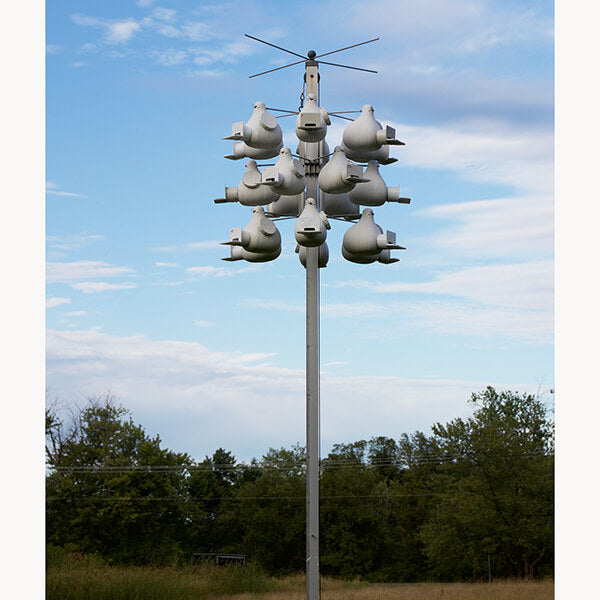 Purple Martin Deluxe Gourd Rack System with 18 Troyer Gourds