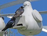 Purple Martin Deluxe Gourd Rack System with 18 Troyer Gourds