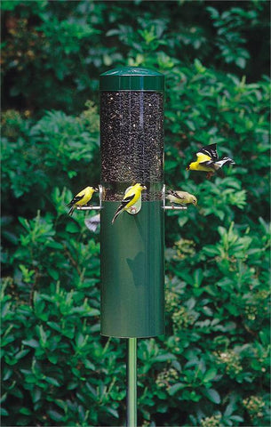 Birds Choice #NP431 Classic Feeder w/ Baffle and Pole