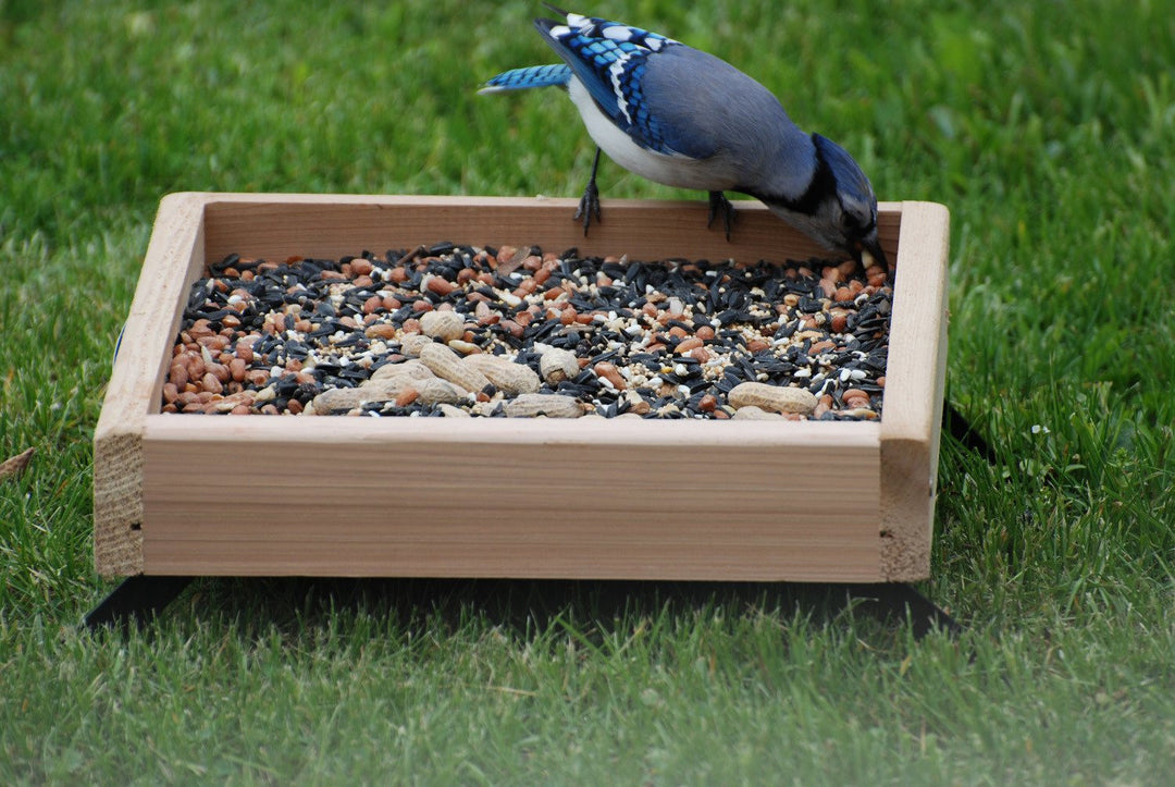 Woodlink 3-in-1 Platform Bird Feeder