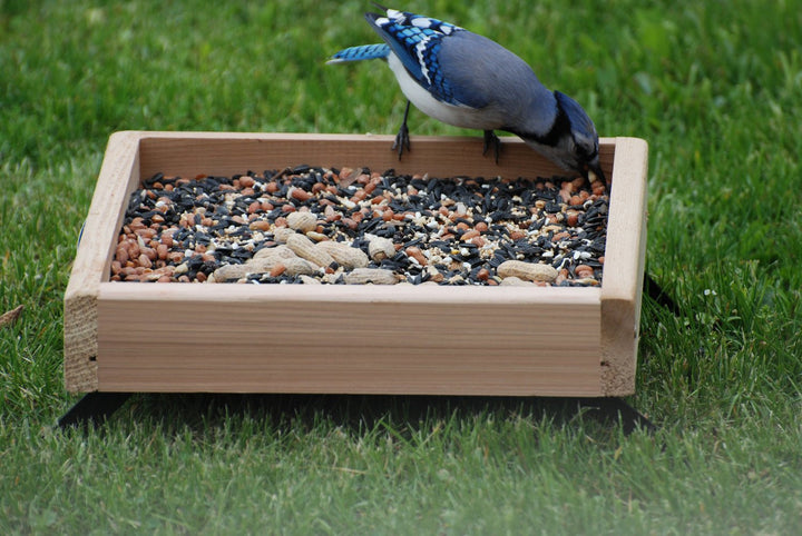 Woodlink 3-in-1 Platform Bird Feeder