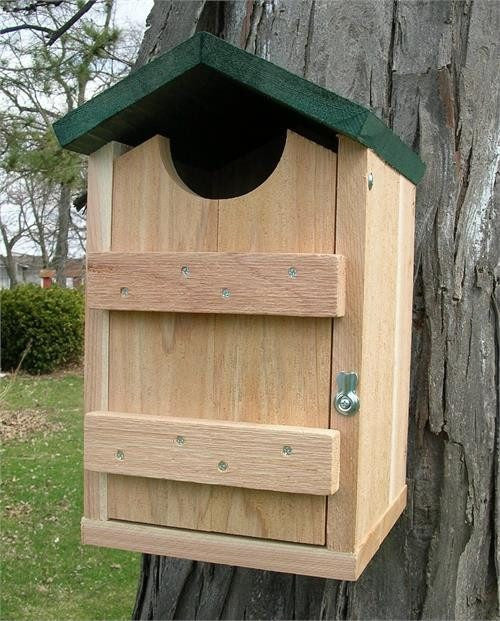 Screech Owl House at www.wildbirdstoreonline.com