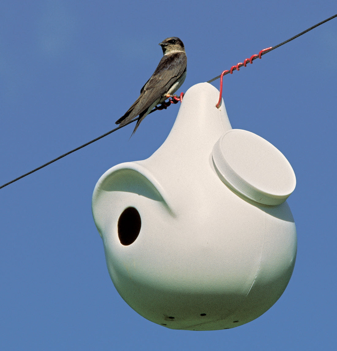 Purple Martin Deluxe Gourd Rack System with 12 SuperGourds – Wild