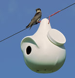 Purple Martin Deluxe Gourd Rack System with 12 SuperGourds